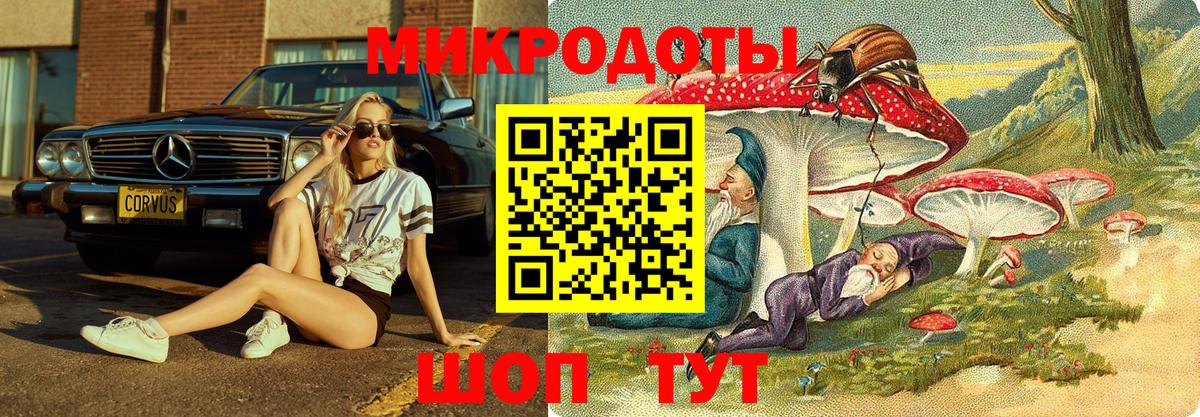 Псилоцибиновые грибы Cubensis  Вход с VPN  Спасск-Дальний 